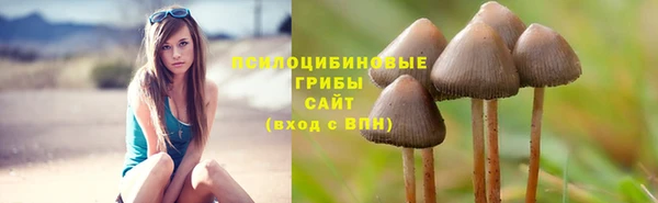 амф Наволоки