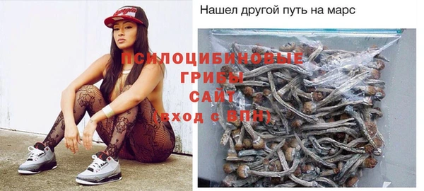 мяу мяу мука Надым