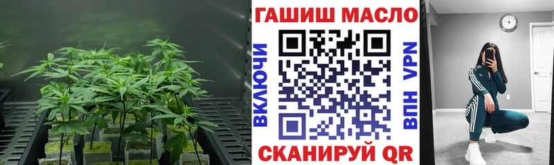 ссылка на мегу ССЫЛКА  Солигалич  ТГК вейп с тгк 