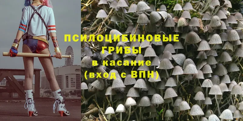 Псилоцибиновые грибы MAGIC MUSHROOMS  купить наркоту  Солигалич 