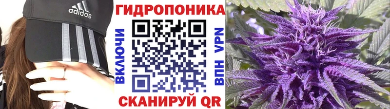 Бошки марихуана OG Kush кракен зеркало Солигалич